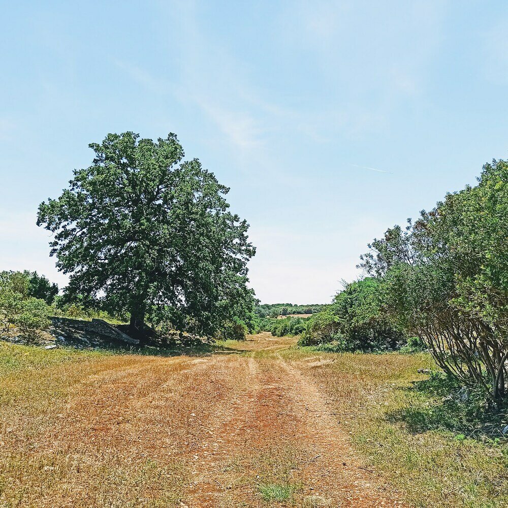 Фото Masseria LoJazzo