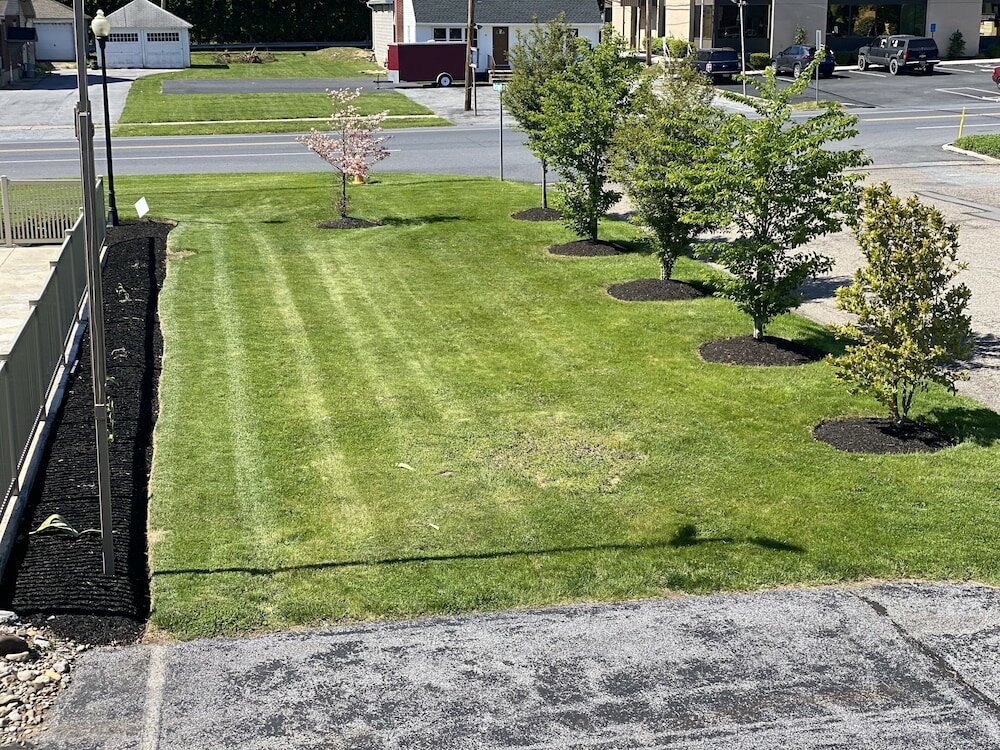 Фото White Rose Motel - Hershey