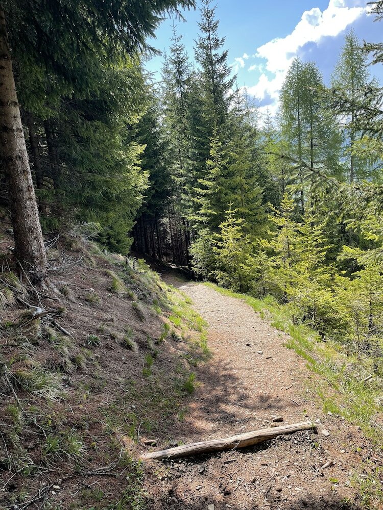 Фото Residence Bondi