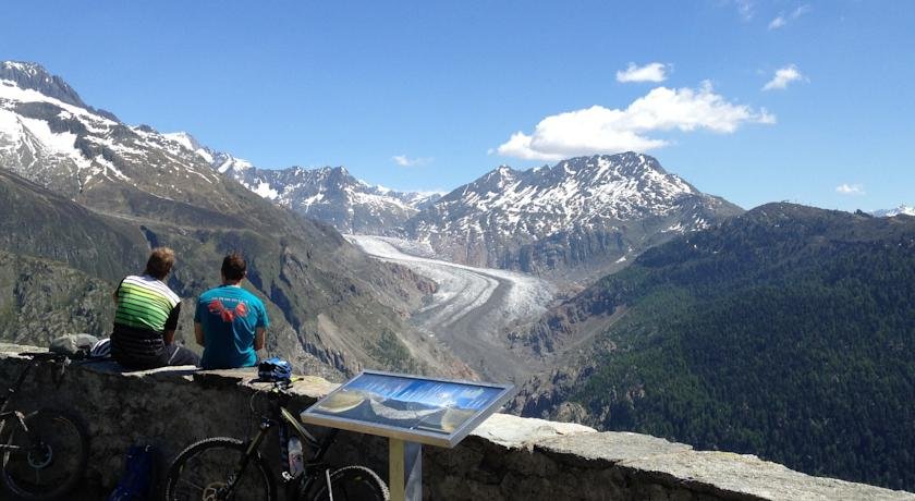 Фото Hamilton Lodge & SPA