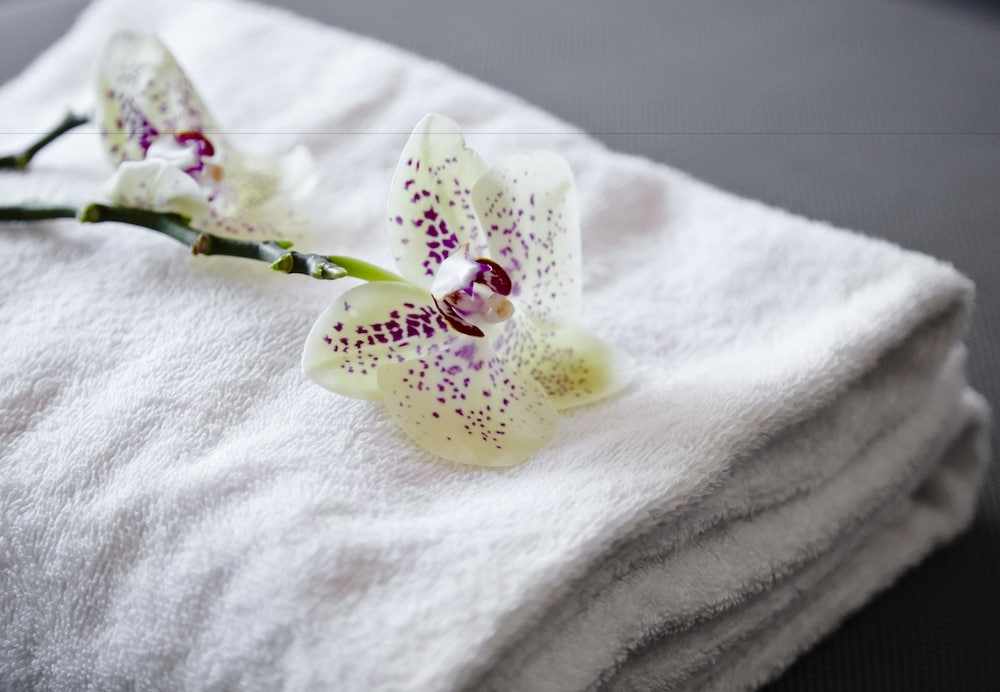 Фото Milling Hotel Søpark