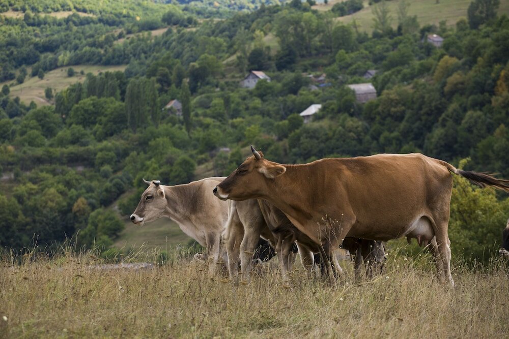 Фото Concept Hotel by Coaf