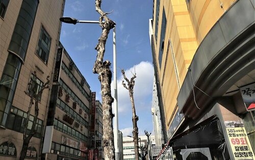 Гостиница Daejeon Wolpyeong Honey в Тэджоне