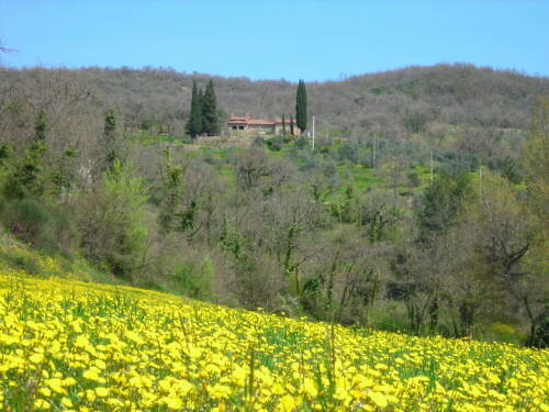 Гостиница Allegro Agriturismo Argiano