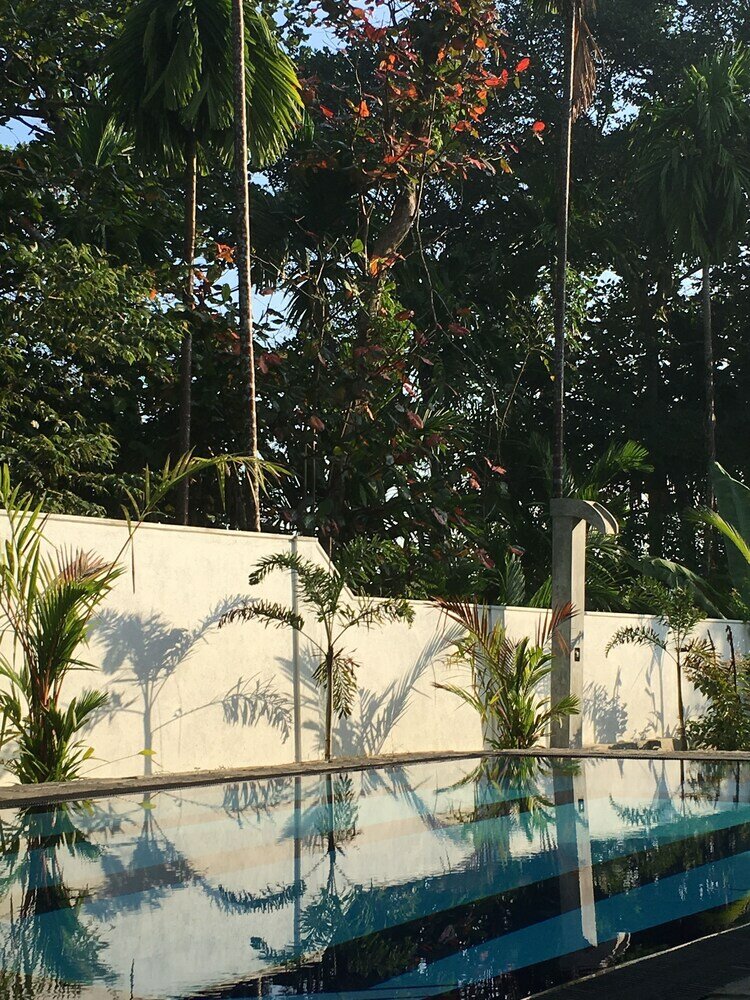 Фото Silence Garden