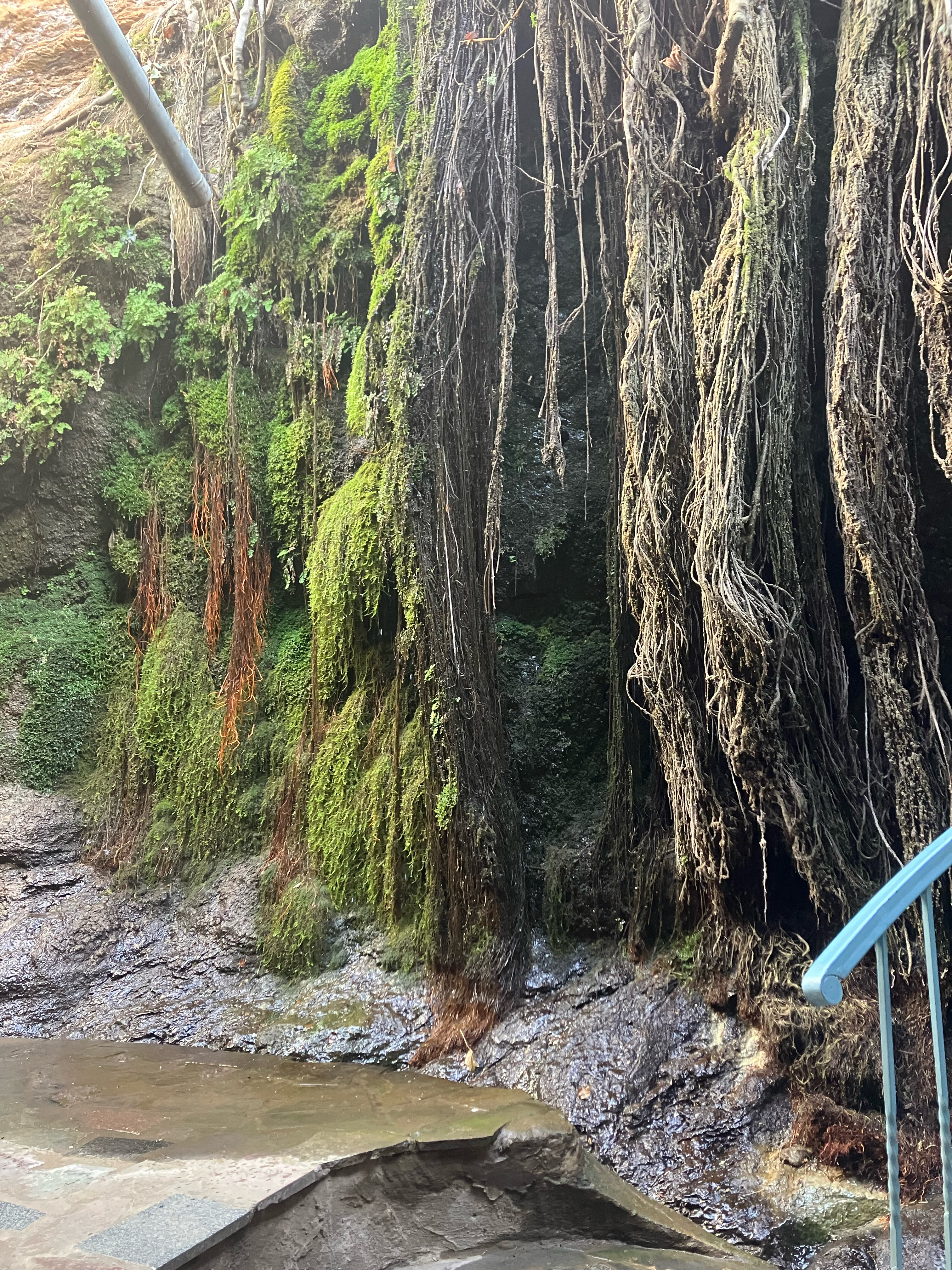 Фото Bloom Boutique Hotel