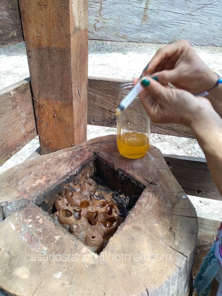 Фото Casados Ranch