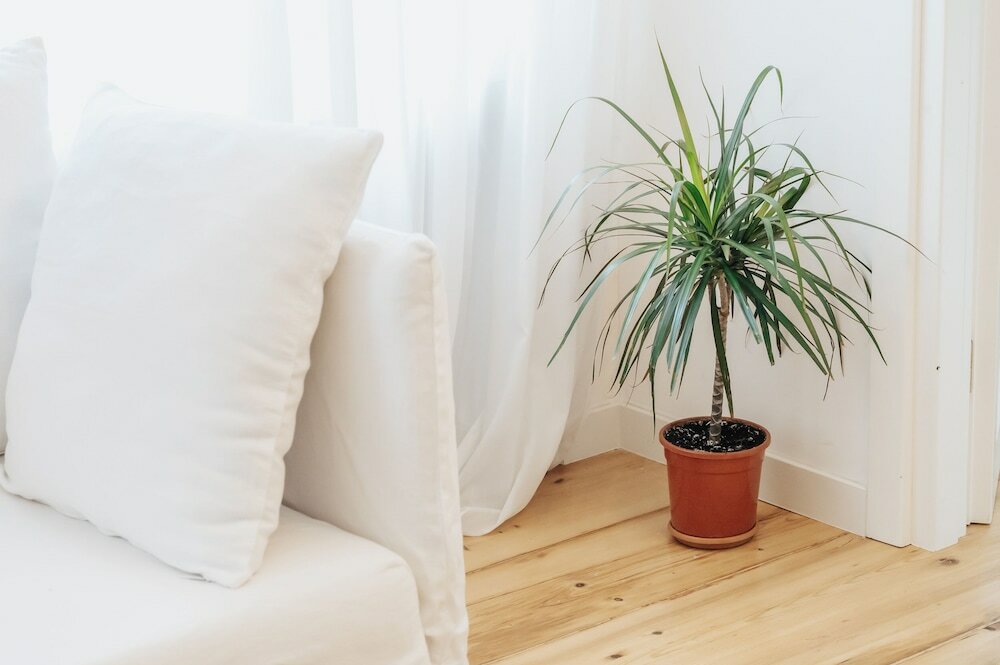 Фото Hb Apartments