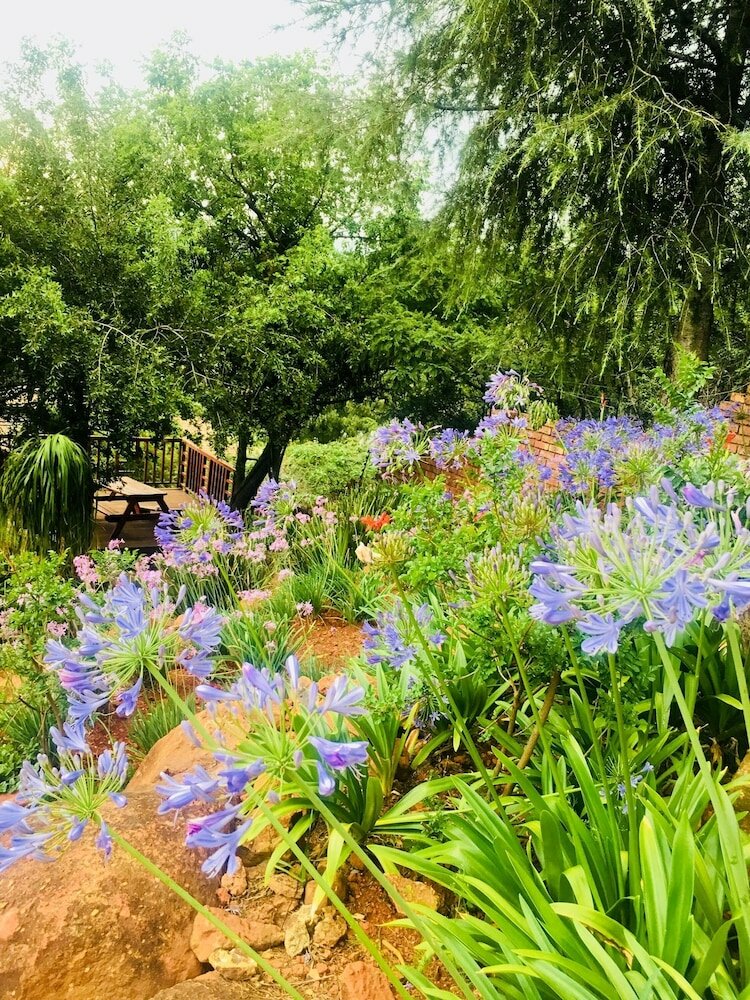 Фото Map's View Guesthouse