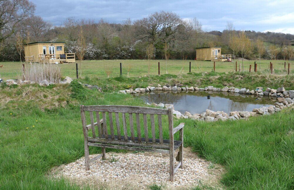 Фото Dartmoor Reach Alpaca Farm