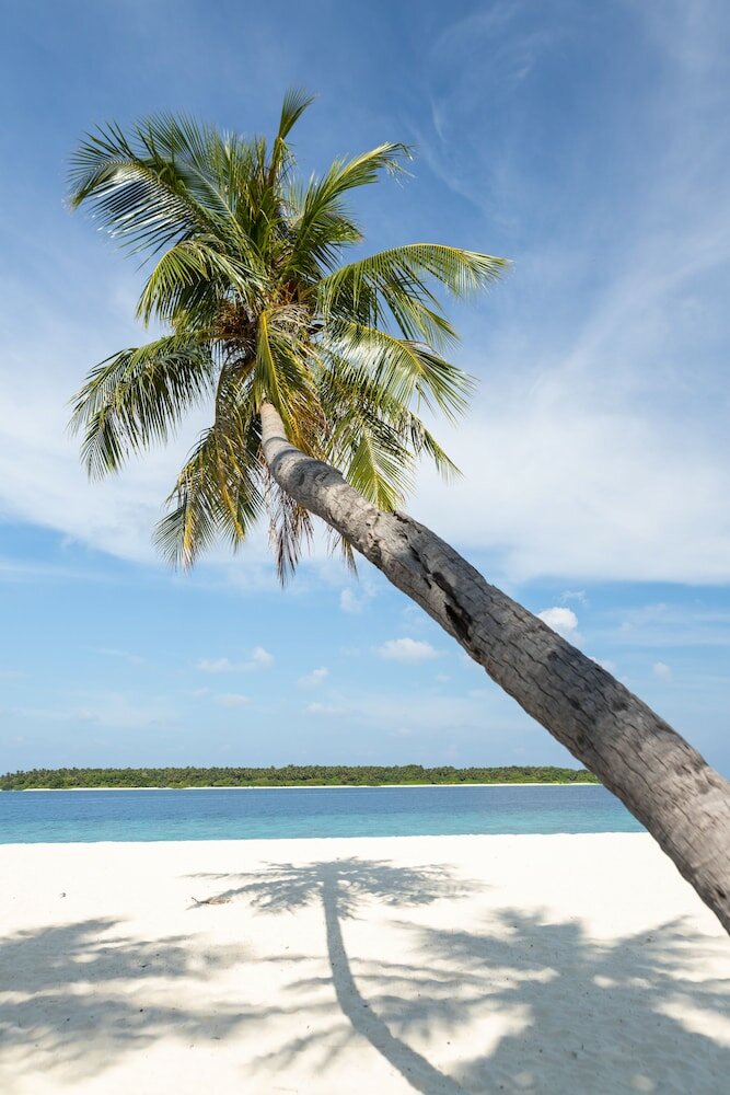 Фото Manta Reserve