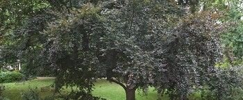 Фото A Place Like Home - Lovely Flat in Pimlico Area