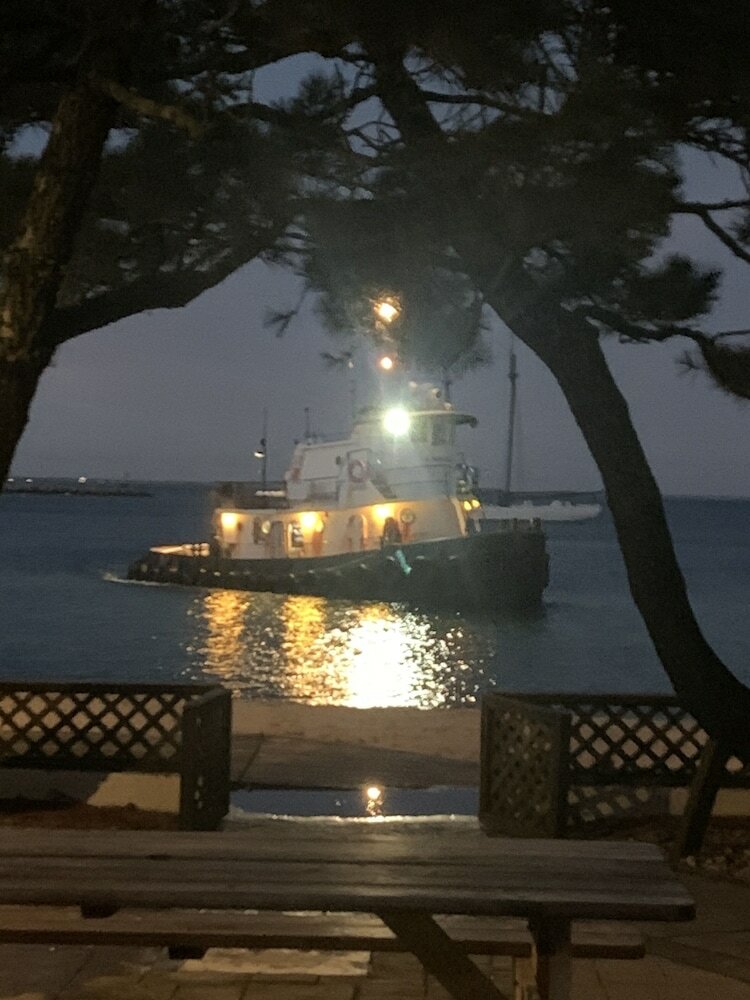 Фото Vineyard Harbor Motel