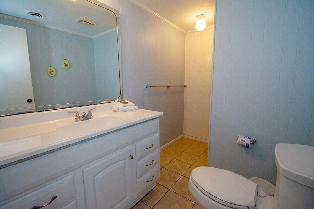 Фото 711 Yellow Perch