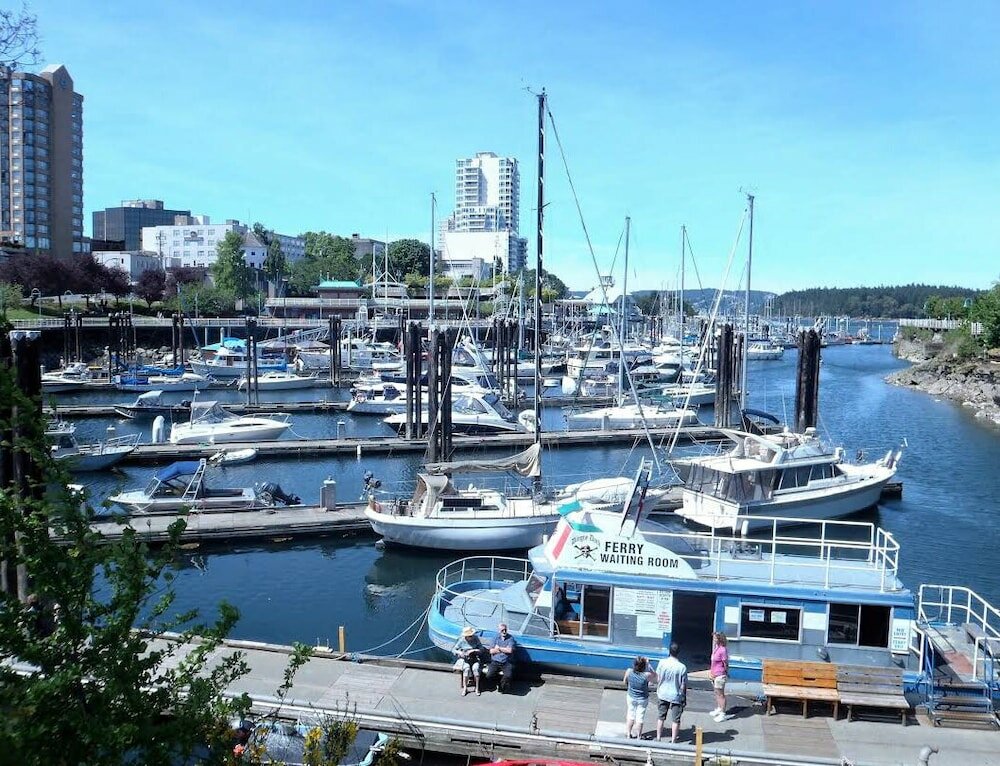 Фото Painted Turtle Guesthouse