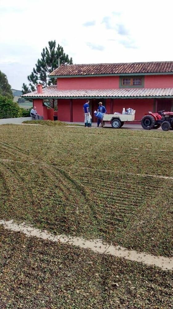 Фото Hirondelle Paraíso