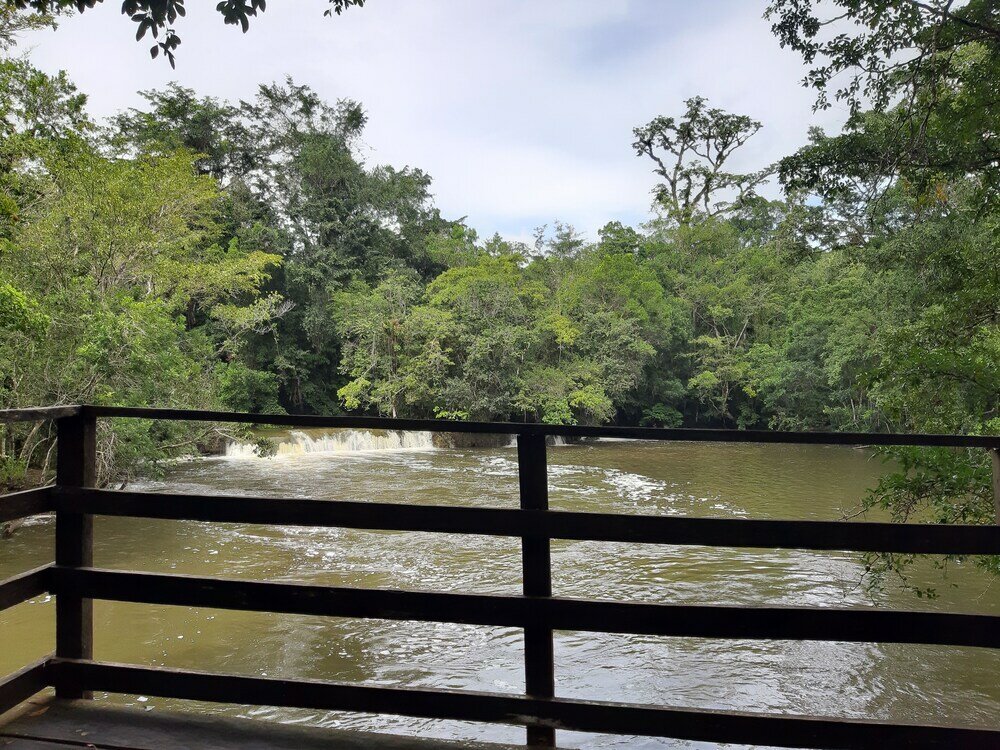 Фото Campamento Lacandones