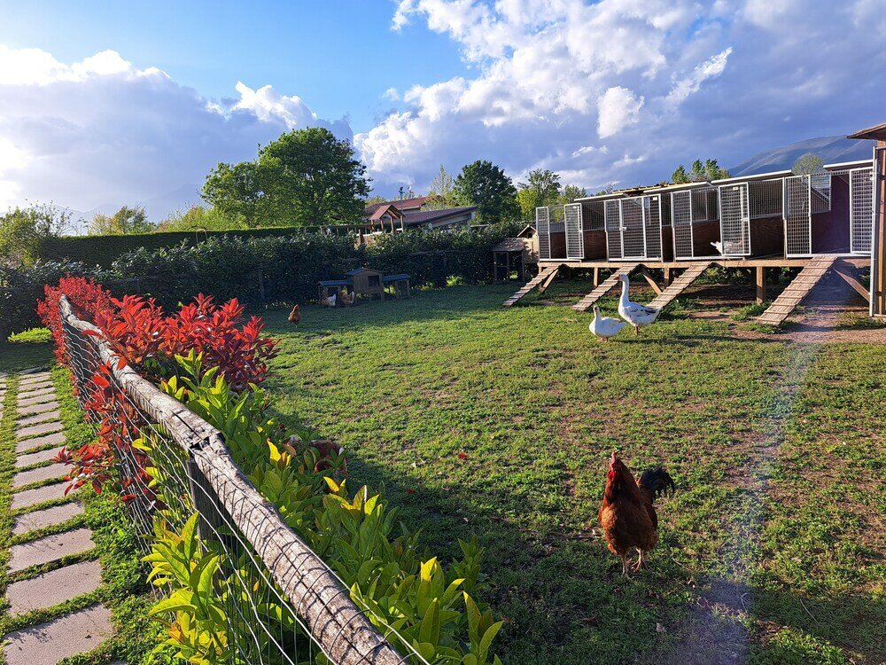 Фото Family Farm Soc. Agricola - Agriturismo