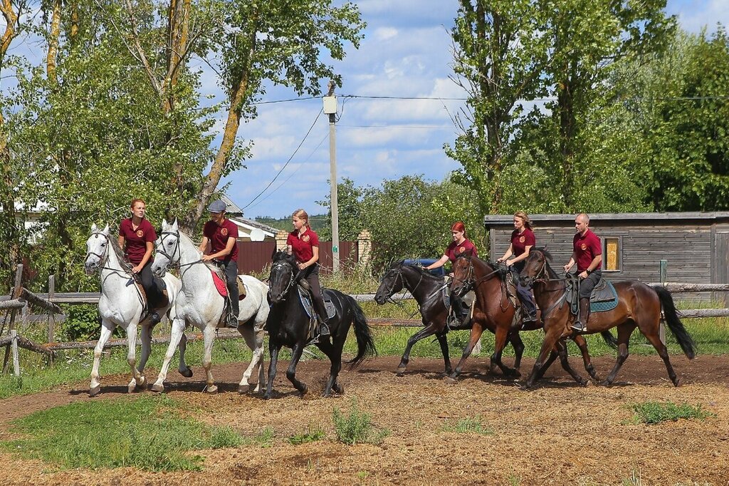 Horse riding The Center of Cossacs trickriding Bagmut, Saint‑Petersburg and Leningrad Oblast, photo