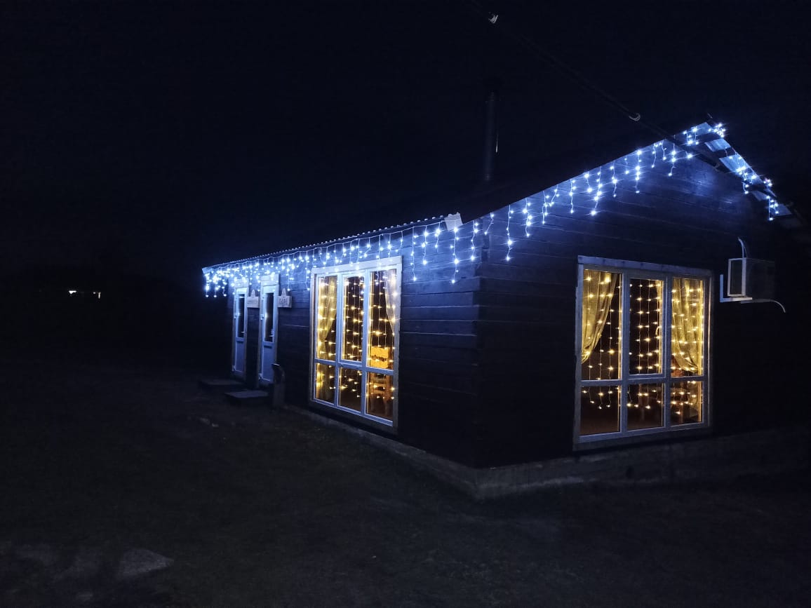 Фото Медная Сова