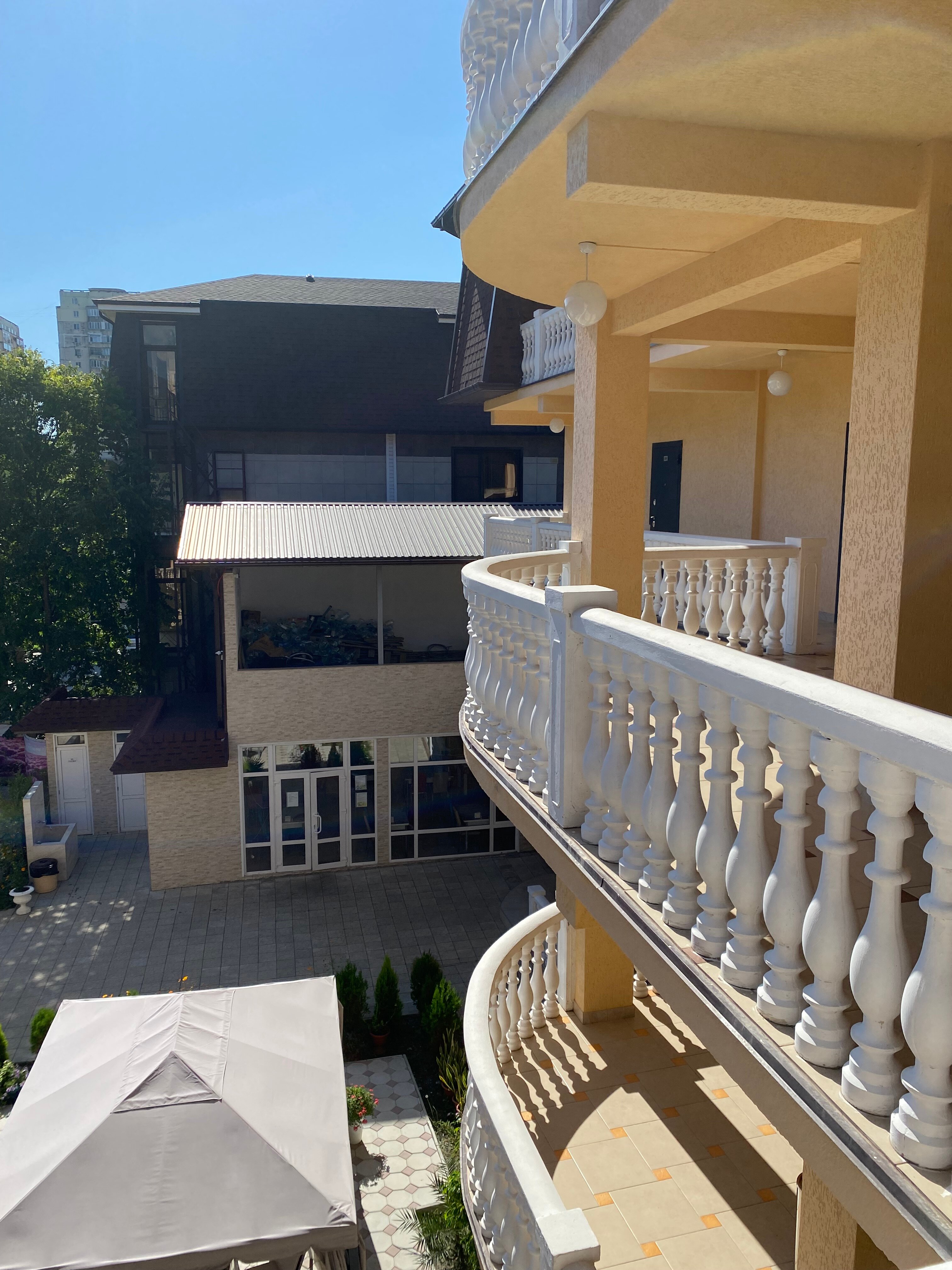 Фото Лаванда