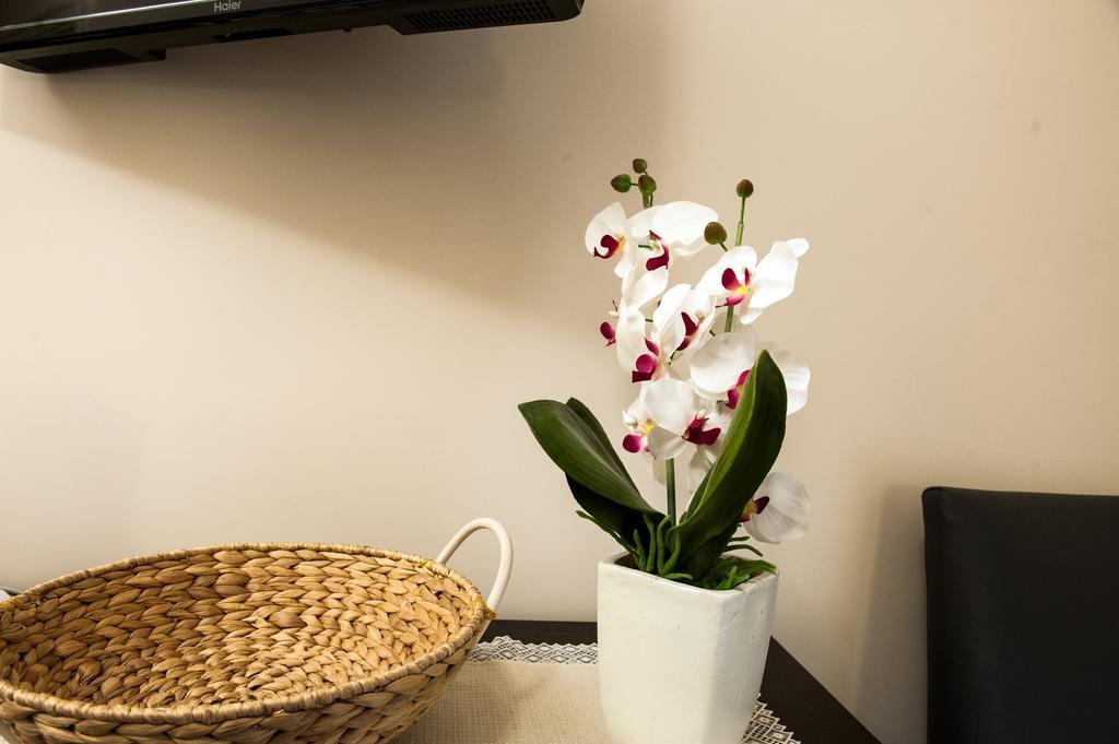 Фото Guest House Domus Bella Roma