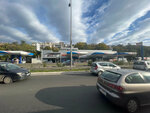 Nis Petrol (Belgrade, Arsenija Carnojevica Boulevard, 30A), gas station