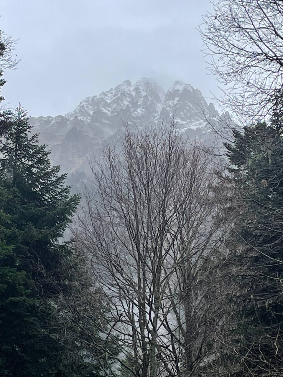 Фото Созвездие Архыза