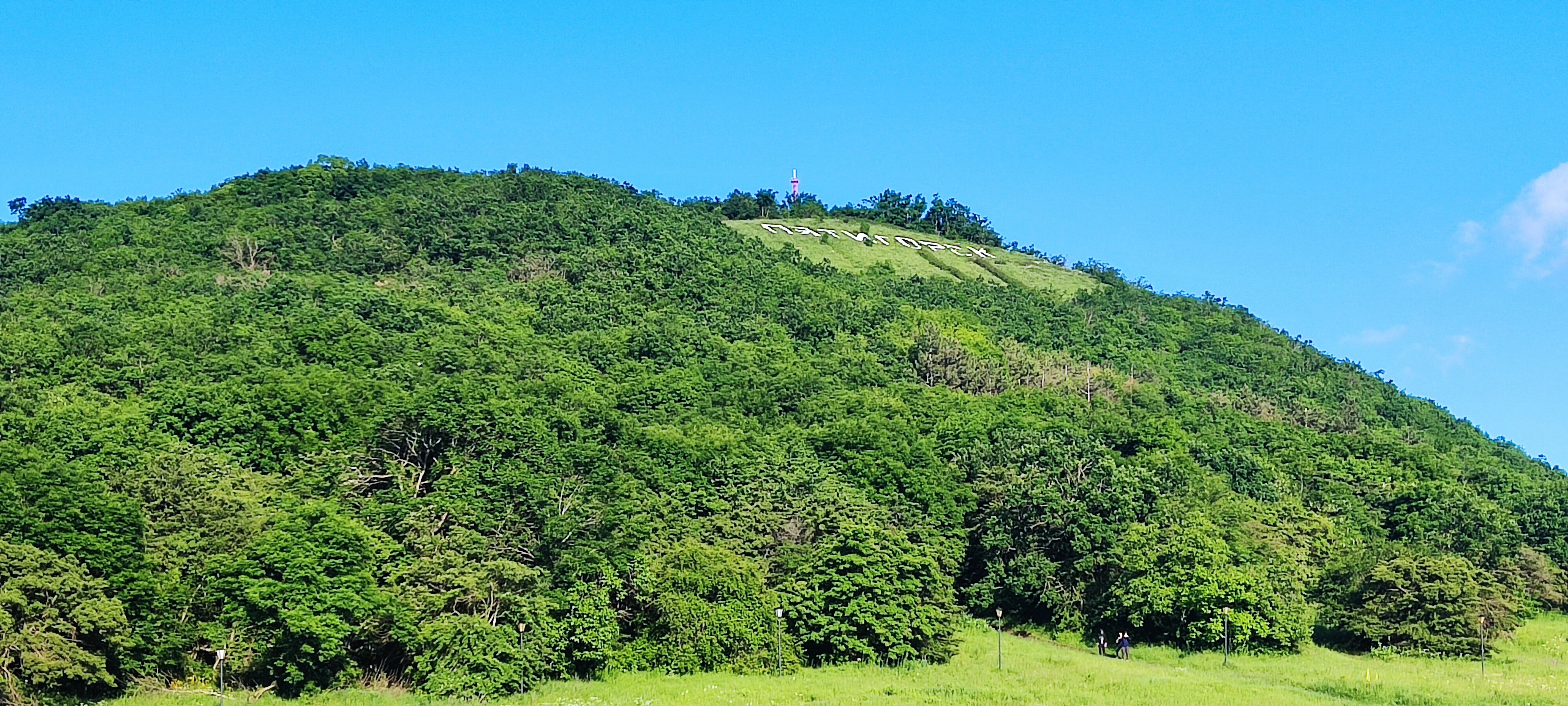 Фото Высота 550