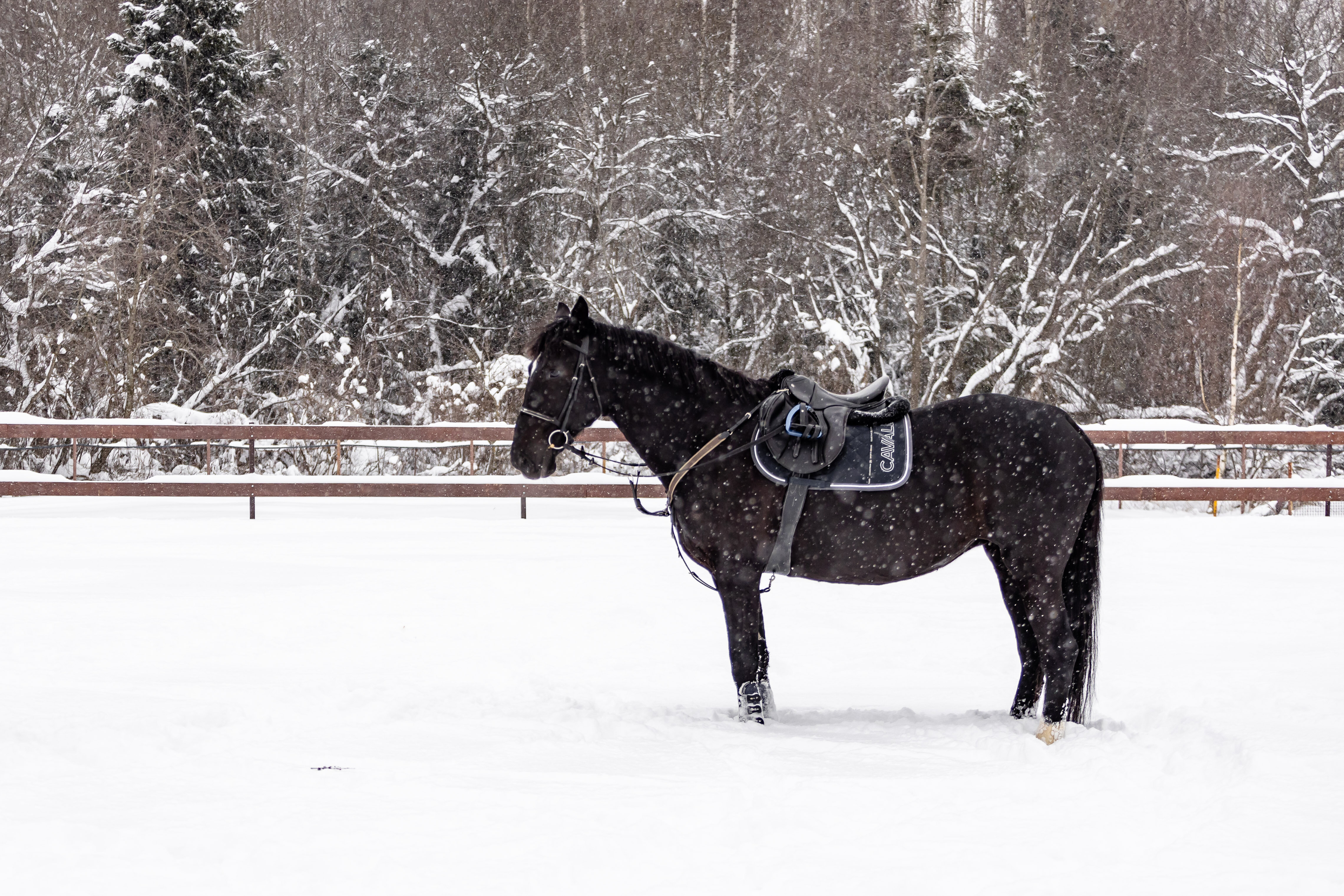 Фото Усадьба Четыре Сезона