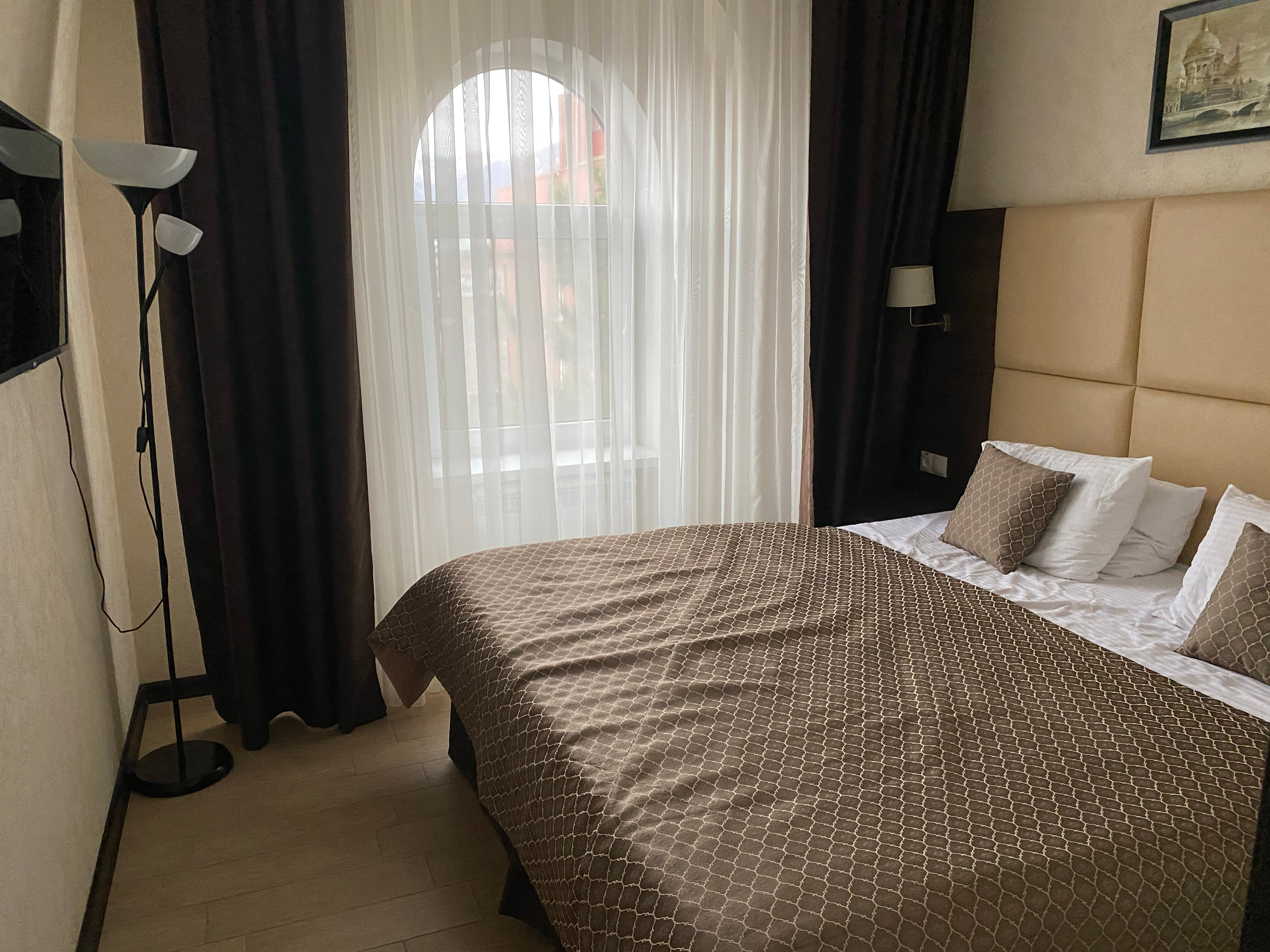 Фото Колибри