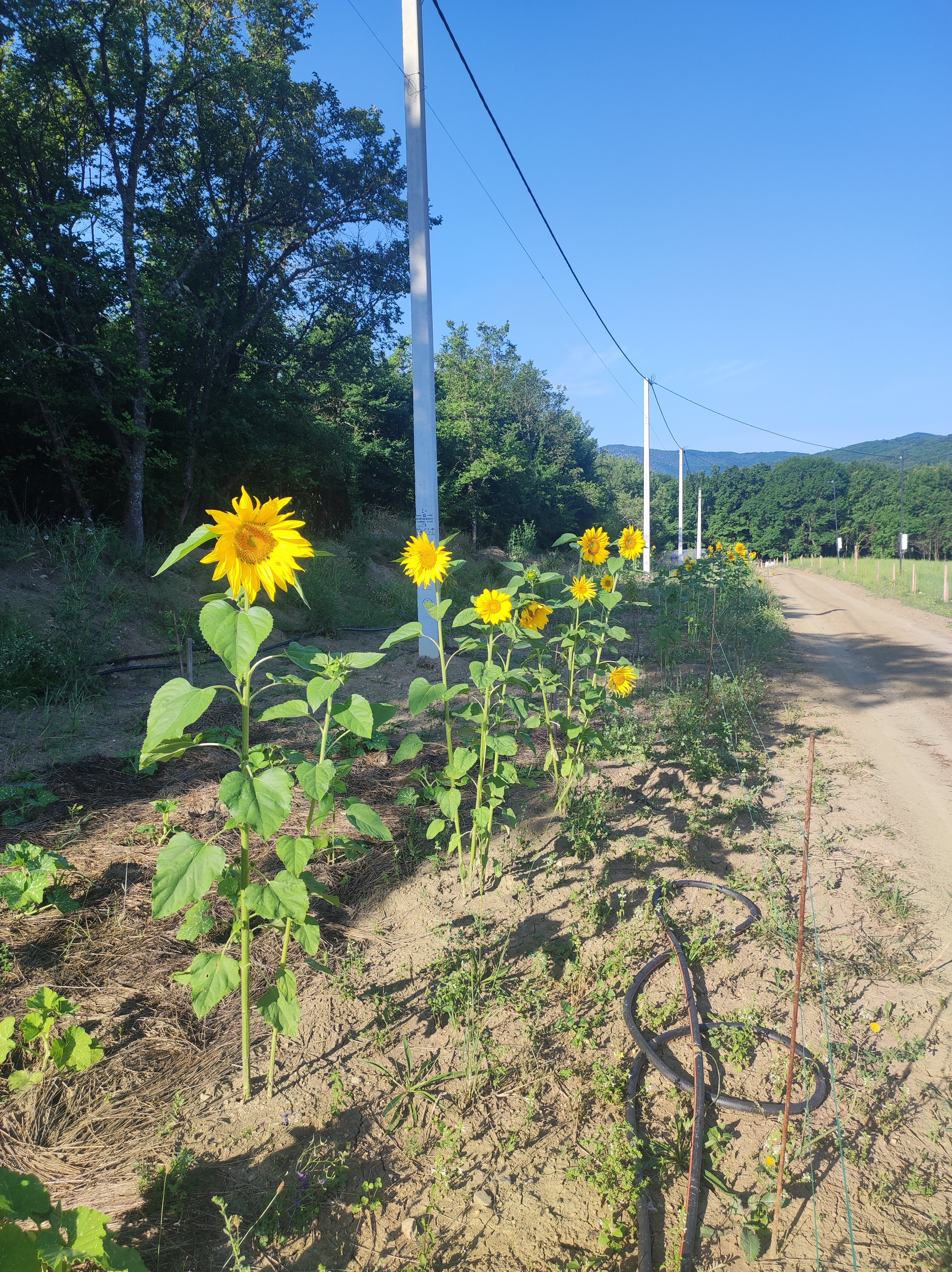Фото Уркуста-парк