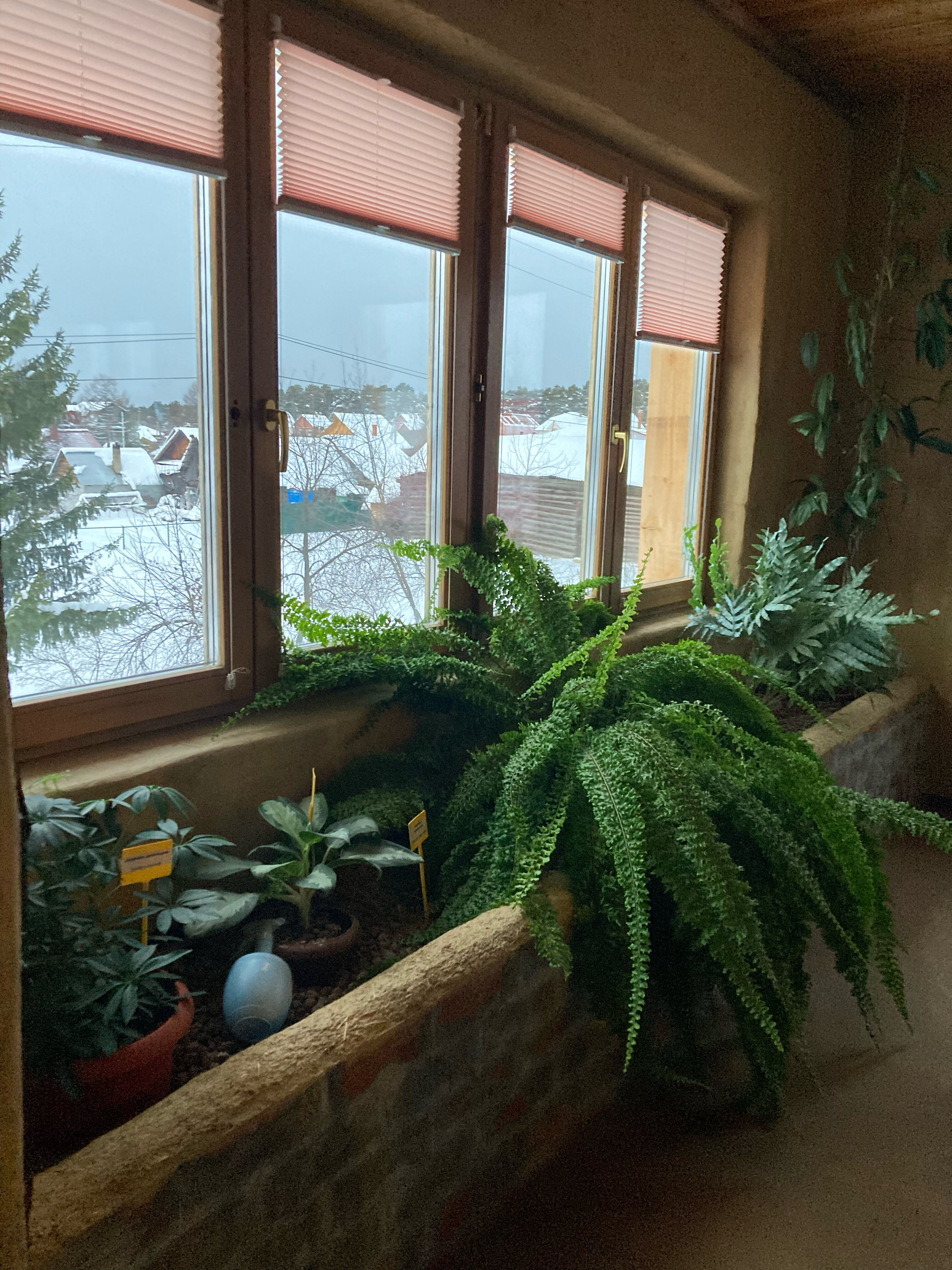 Фото Здрава Дача