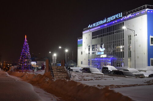 حلبة التزلج على الجليد Sapsan Arena Ice Palace ، ، صورة