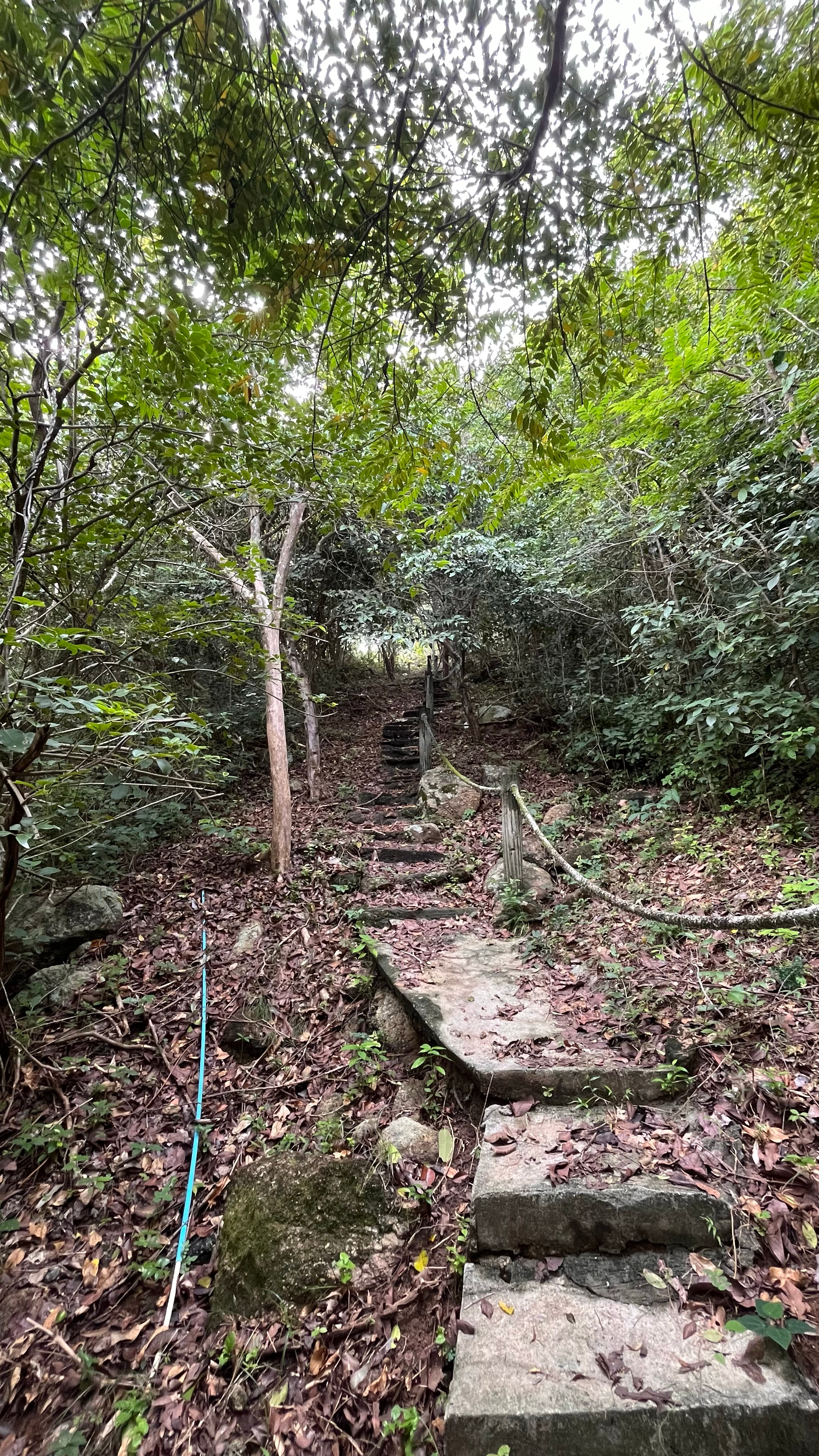 Фото Phangan Utopia Resort