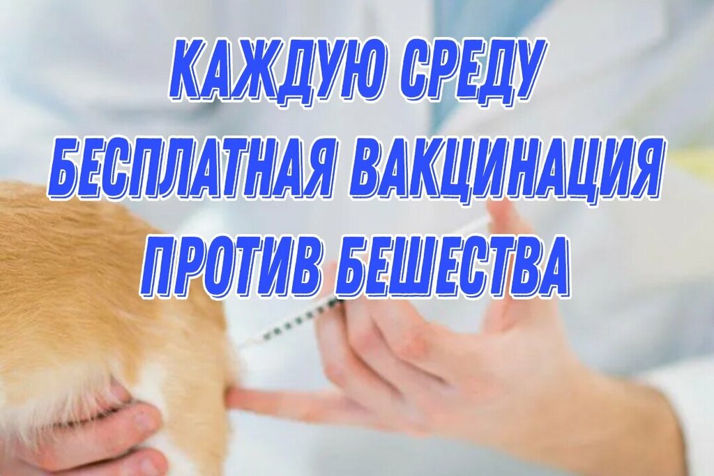 Clínica veterinaria Veterinarnaya stantsiya po borbe s boleznyami zhivotnykh, , foto