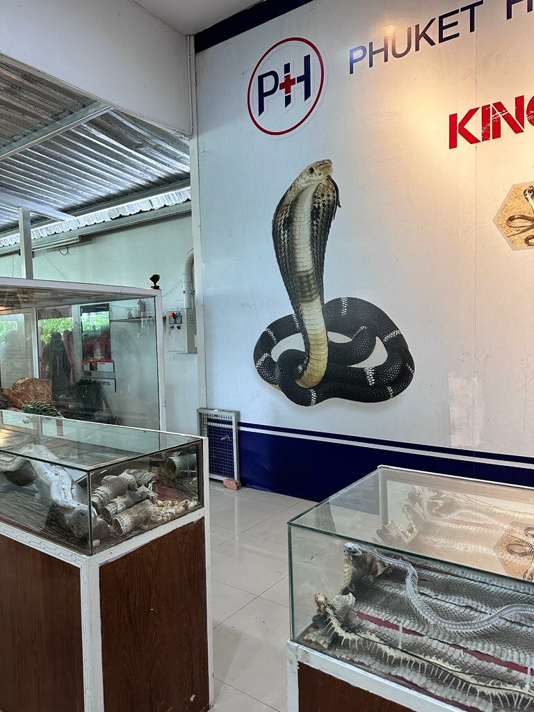 Zoo Cobra Show, Chalong, photo