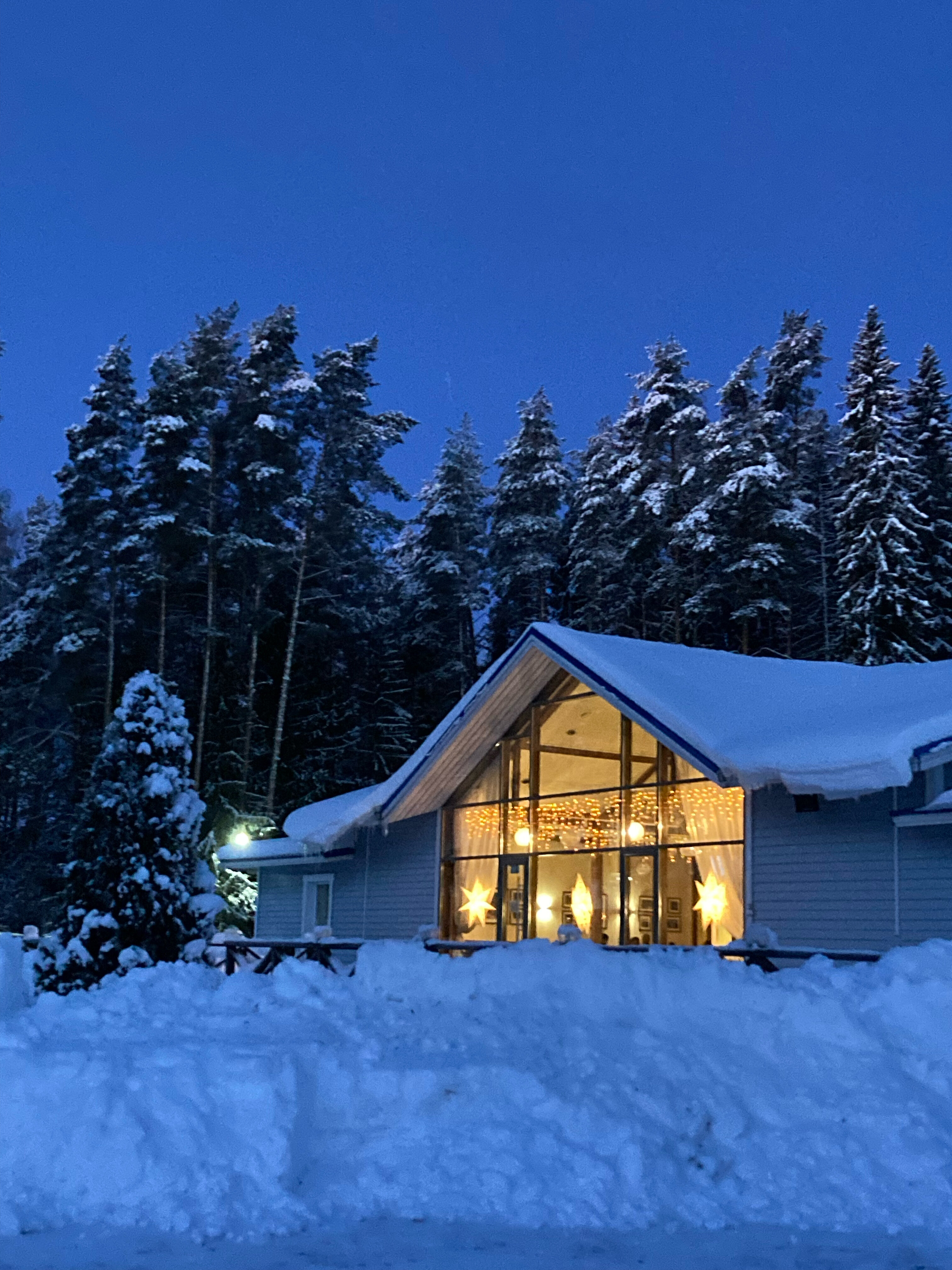 Фото Отель-клуб Гардарика