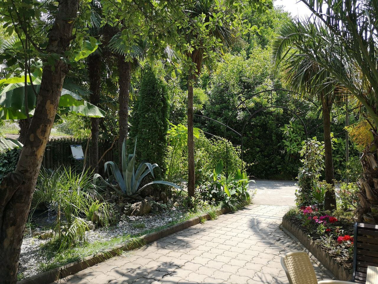 Фото Форелька