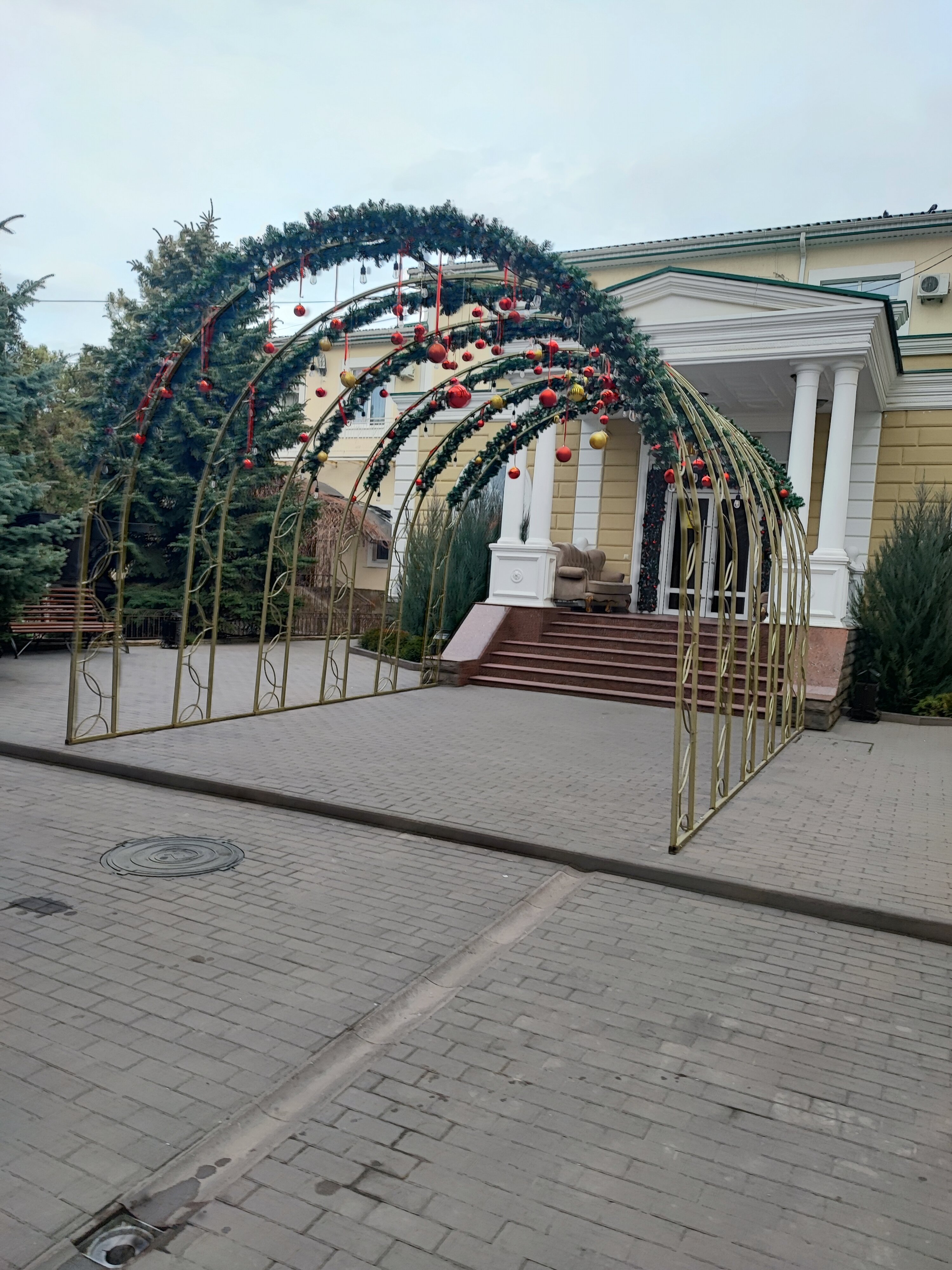 Фото Эдельвейс