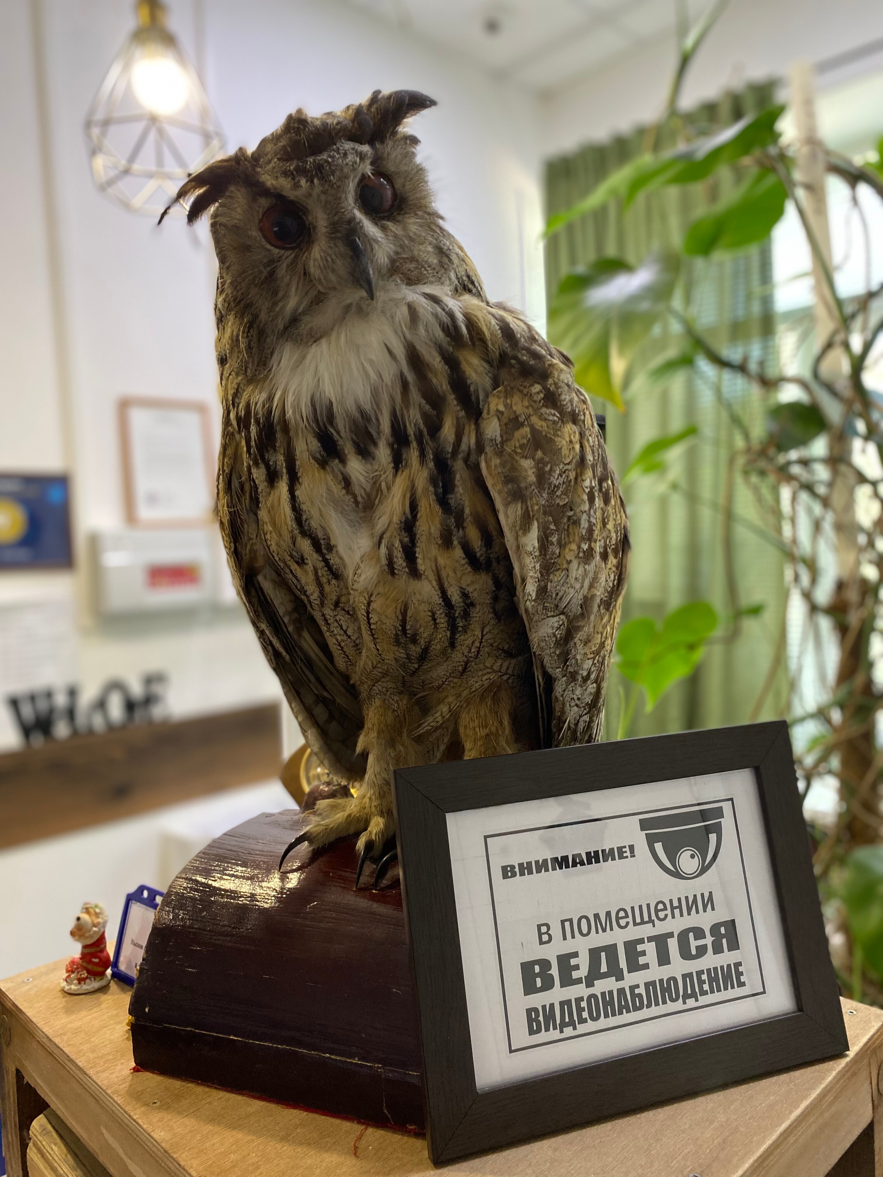 Фото Берлога