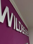 Wildberries (Vil'yamsa Street, 38Б), point of delivery