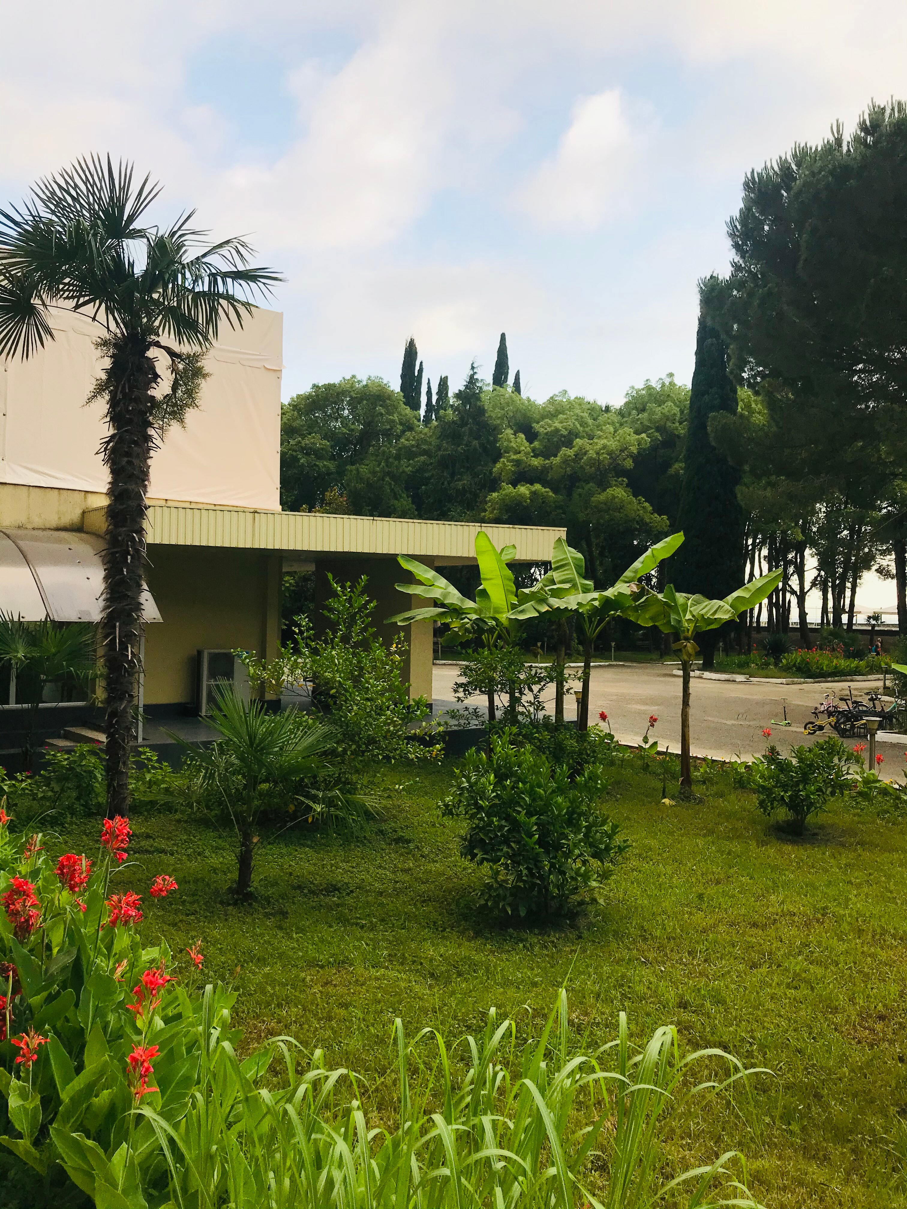 Фото WellNess Park Hotel Gagra