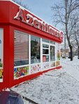 Azeriflores (Matveevskoye Highway, 13В) ، محل زهور