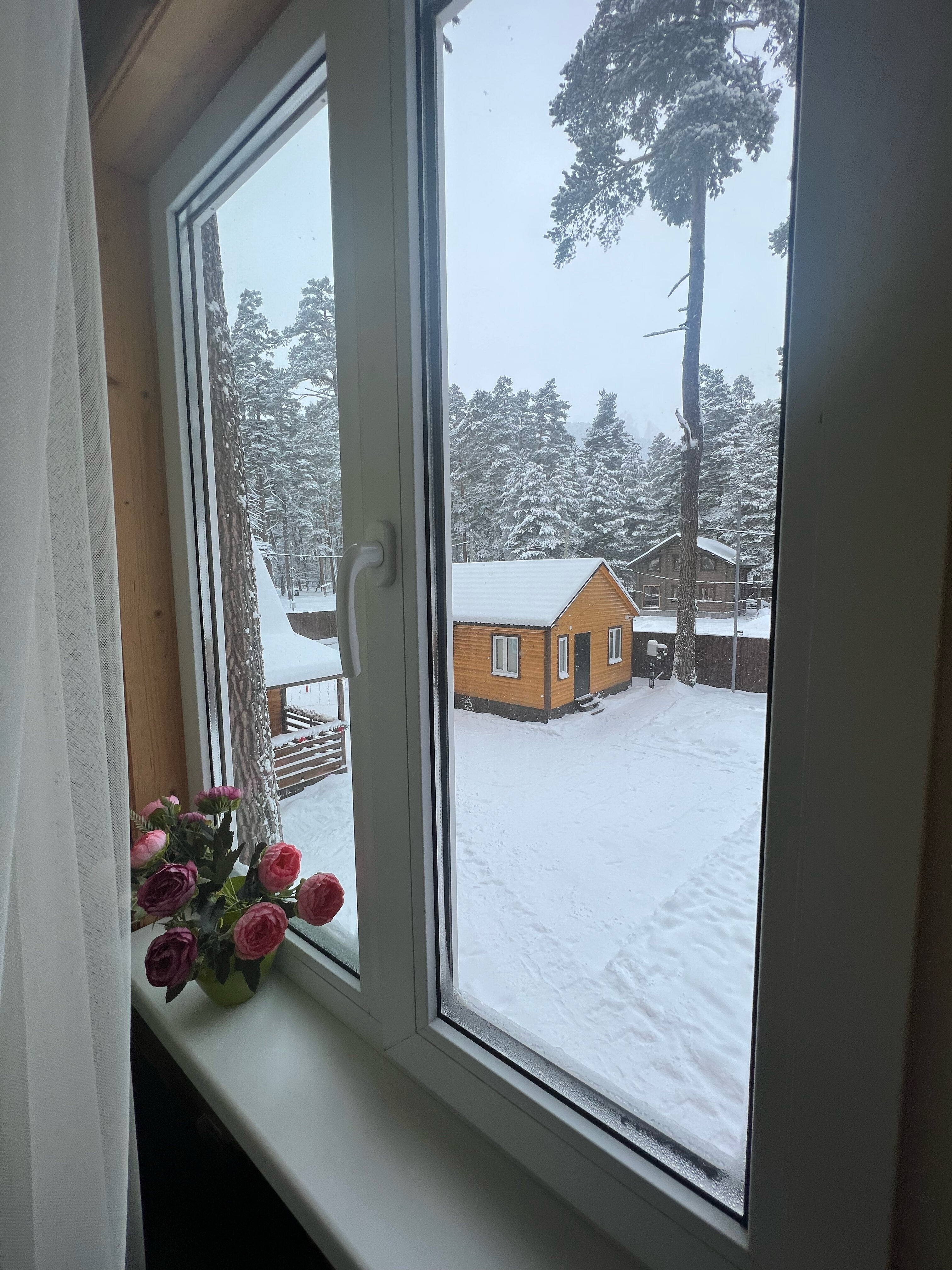 Фото Созвездие Архыза