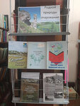 Родыгинская сельская библиотека (derevnya Rodygino, Yubileynaya ulitsa, 5А), library