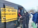 Жизнь, ДУШевная прачечная (Sverdlovskiy Avenue, 12) ، أعمال خيرية