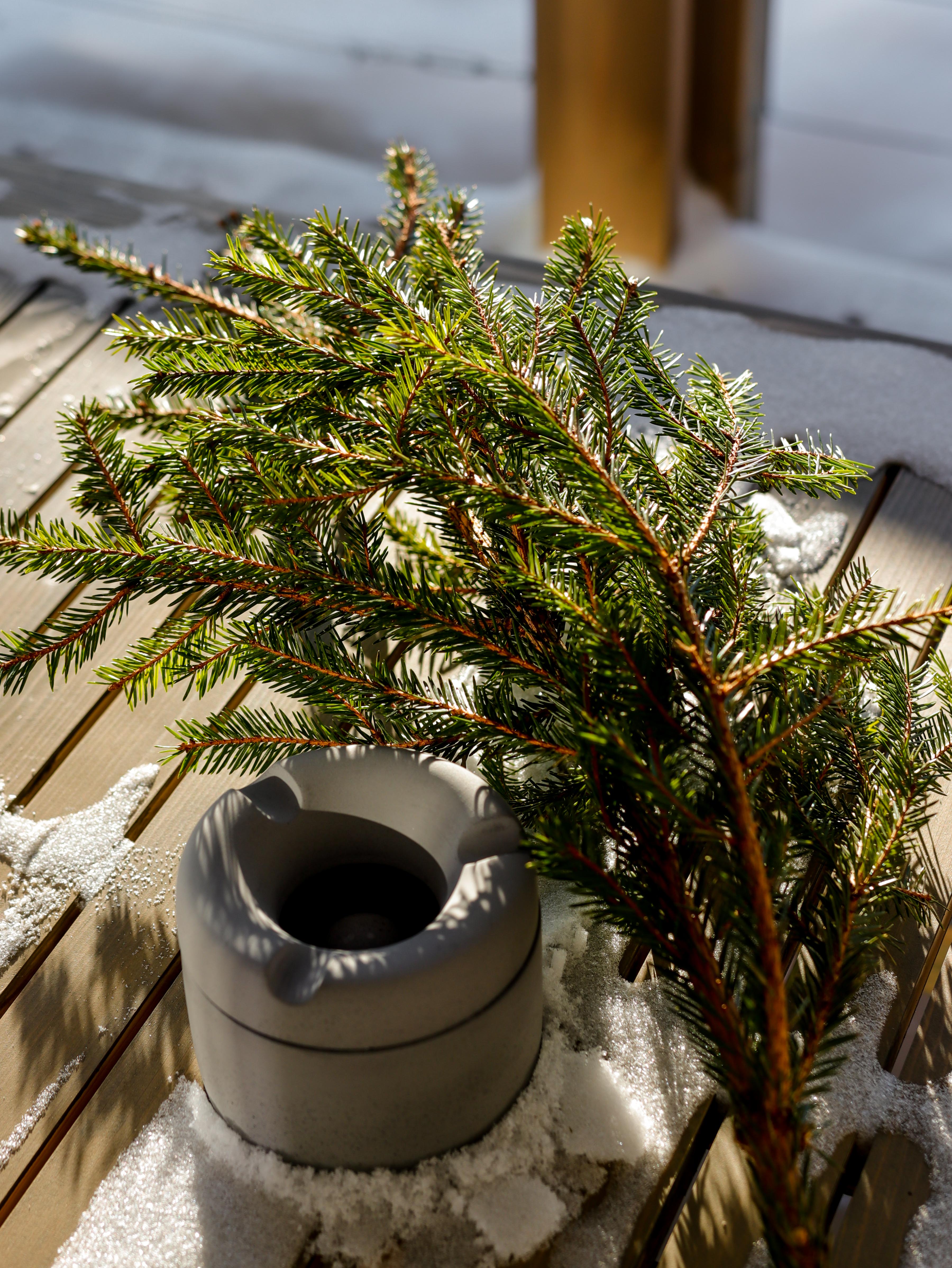 Фото ЧиллВилл