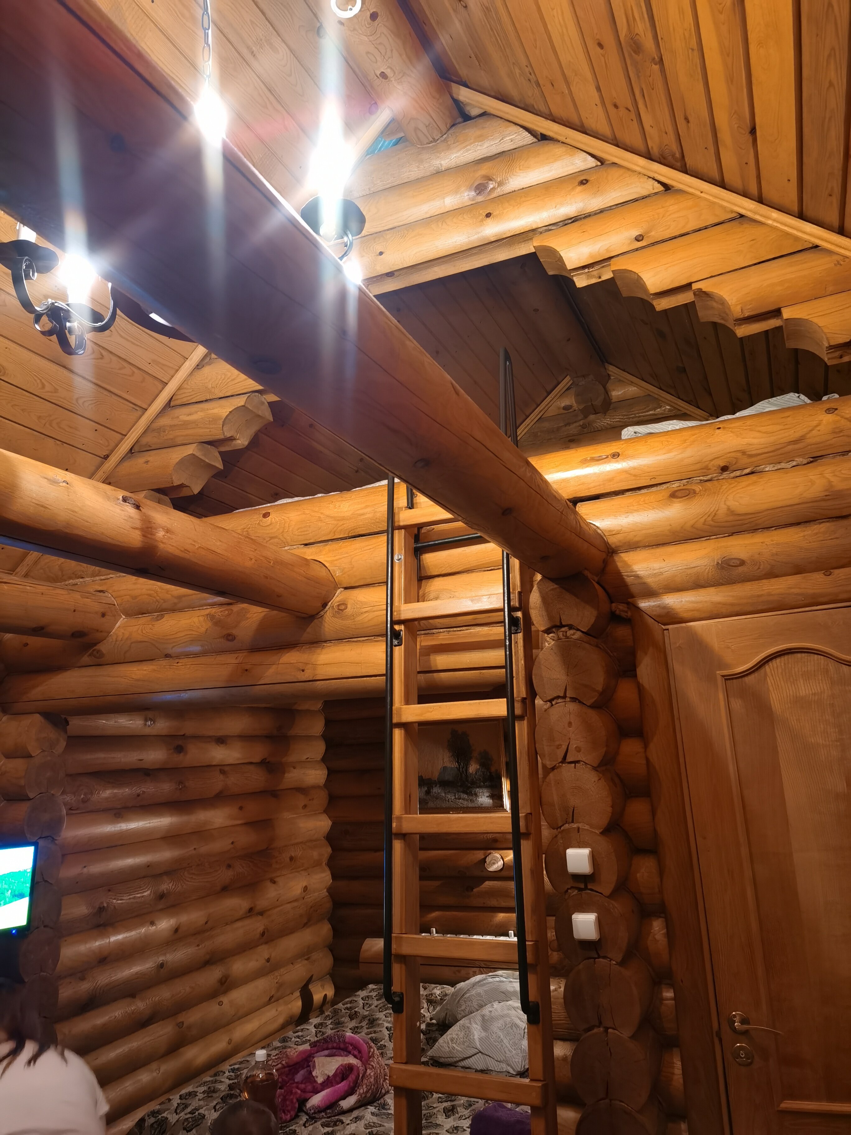 Фото Лесная сказка