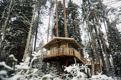 Фото Царство-Королевство